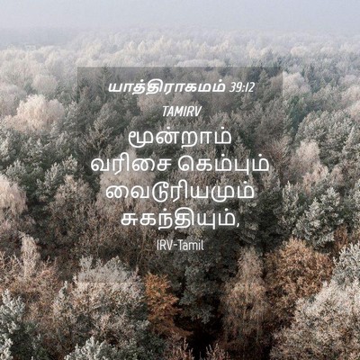 Picture 04 - யாத்திராகமம் 39:12 TAMIRV - மூன்றாம் வரிசை - Bible Verse Picture