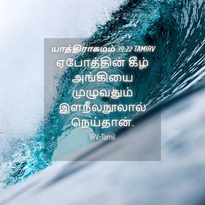 Picture 04 - யாத்திராகமம் 39:22 TAMIRV - ஏபோத்தின் கீழ் - Bible Verse Picture