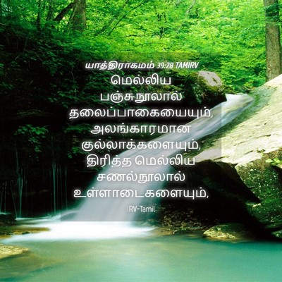 Picture 04 - யாத்திராகமம் 39:28 TAMIRV - மெல்லிய - Bible Verse Picture