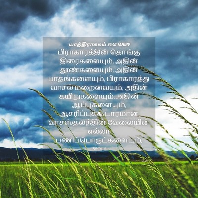 Picture 04 - யாத்திராகமம் 39:40 TAMIRV - பிராகாரத்தின் - Bible Verse Picture
