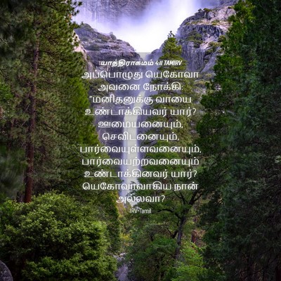Picture 04 - யாத்திராகமம் 4:11 TAMIRV - அப்பொழுது யெகோவா - Bible Verse Picture
