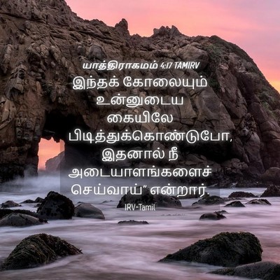 Picture 04 - யாத்திராகமம் 4:17 TAMIRV - இந்தக் கோலையும் - Bible Verse Picture