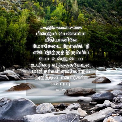 Picture 04 - யாத்திராகமம் 4:19 TAMIRV - பின்னும் யெகோவா - Bible Verse Picture