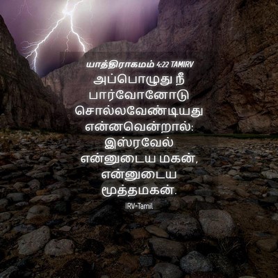 Picture 04 - யாத்திராகமம் 4:22 TAMIRV - அப்பொழுது நீ - Bible Verse Picture