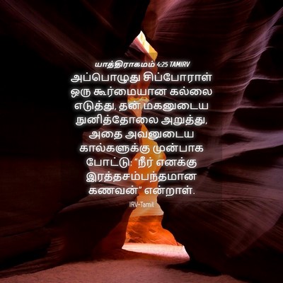 Picture 04 - யாத்திராகமம் 4:25 TAMIRV - அப்பொழுது - Bible Verse Picture