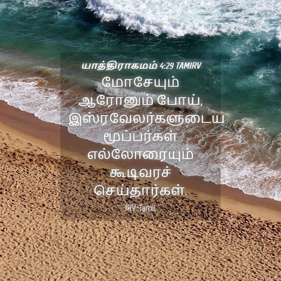 Picture 04 - யாத்திராகமம் 4:29 TAMIRV - மோசேயும் ஆரோனும் - Bible Verse Picture