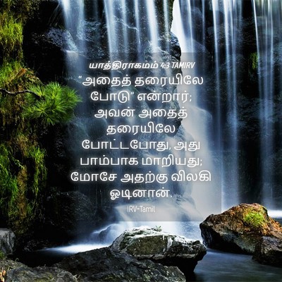 Picture 04 - யாத்திராகமம் 4:3 TAMIRV - “அதைத் தரையிலே - Bible Verse Picture