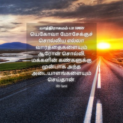 Picture 04 - யாத்திராகமம் 4:30 TAMIRV - யெகோவா மோசேக்குச் - Bible Verse Picture