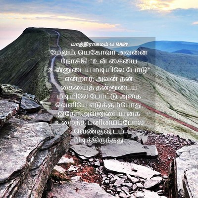 Picture 04 - யாத்திராகமம் 4:6 TAMIRV - மேலும், யெகோவா - Bible Verse Picture