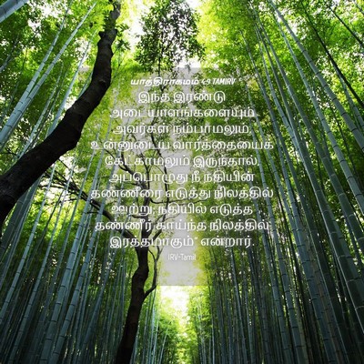 Picture 04 - யாத்திராகமம் 4:9 TAMIRV - இந்த இரண்டு - Bible Verse Picture