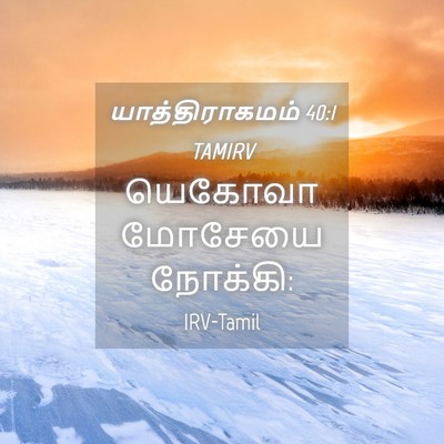 Picture 04 - யாத்திராகமம் 40:1 TAMIRV - யெகோவா மோசேயை - Bible Verse Picture