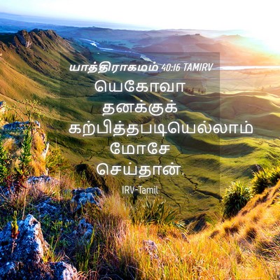 Picture 04 - யாத்திராகமம் 40:16 TAMIRV - யெகோவா தனக்குக் - Bible Verse Picture