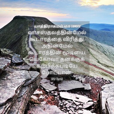 Picture 04 - யாத்திராகமம் 40:19 TAMIRV -  - Bible Verse Picture
