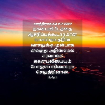Picture 04 - யாத்திராகமம் 40:29 TAMIRV - தகனபலிபீடத்தை - Bible Verse Picture