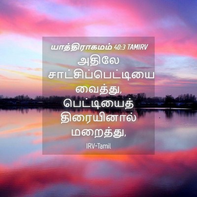 Picture 04 - யாத்திராகமம் 40:3 TAMIRV - அதிலே - Bible Verse Picture