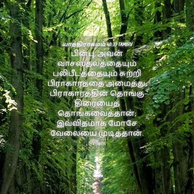 Picture 04 - யாத்திராகமம் 40:33 TAMIRV - பின்பு, அவன் - Bible Verse Picture
