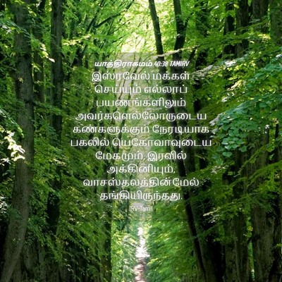 Picture 04 - யாத்திராகமம் 40:38 TAMIRV - இஸ்ரவேல் மக்கள் - Bible Verse Picture