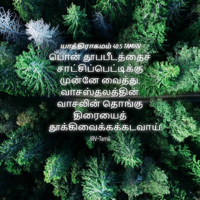 Picture 04 - யாத்திராகமம் 40:5 TAMIRV - பொன் தூபபீடத்தைச் - Bible Verse Picture