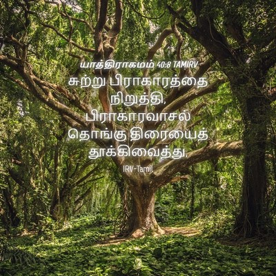 Picture 04 - யாத்திராகமம் 40:8 TAMIRV - சுற்று - Bible Verse Picture