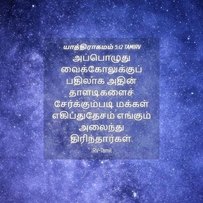 Picture 04 - யாத்திராகமம் 5:12 TAMIRV - அப்பொழுது - Bible Verse Picture