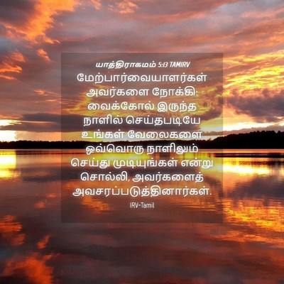 Picture 04 - யாத்திராகமம் 5:13 TAMIRV -  - Bible Verse Picture