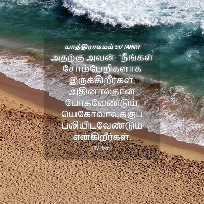 Picture 04 - யாத்திராகமம் 5:17 TAMIRV - அதற்கு அவன்: - Bible Verse Picture