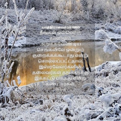 Picture 04 - யாத்திராகமம் 5:19 TAMIRV - நீங்கள் ஒவ்வொரு - Bible Verse Picture