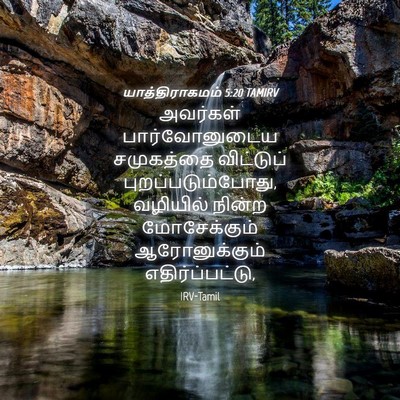 Picture 04 - யாத்திராகமம் 5:20 TAMIRV - அவர்கள் - Bible Verse Picture