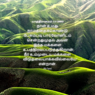Picture 04 - யாத்திராகமம் 5:23 TAMIRV - நான் உமது - Bible Verse Picture