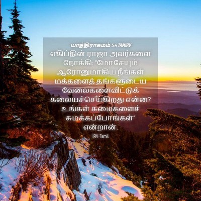 Picture 04 - யாத்திராகமம் 5:4 TAMIRV - எகிப்தின் ராஜா - Bible Verse Picture