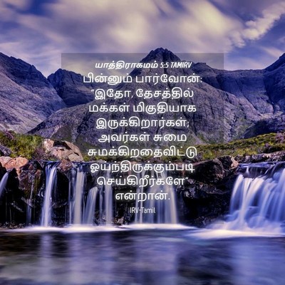 Picture 04 - யாத்திராகமம் 5:5 TAMIRV - பின்னும் - Bible Verse Picture