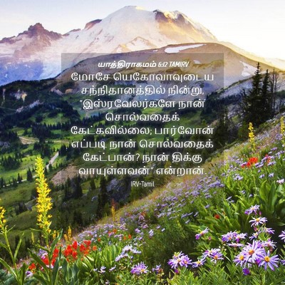 Picture 04 - யாத்திராகமம் 6:12 TAMIRV - மோசே யெகோவாவுடைய - Bible Verse Picture