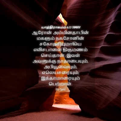 Picture 04 - யாத்திராகமம் 6:23 TAMIRV - ஆரோன் - Bible Verse Picture