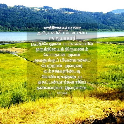Picture 04 - யாத்திராகமம் 6:25 TAMIRV - ஆரோனின் மகனாகிய - Bible Verse Picture