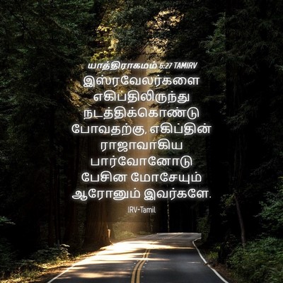 Picture 04 - யாத்திராகமம் 6:27 TAMIRV - இஸ்ரவேலர்களை - Bible Verse Picture