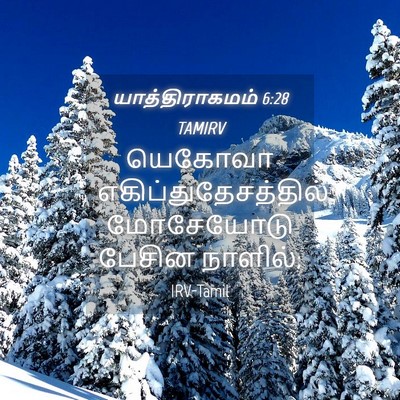 Picture 04 - யாத்திராகமம் 6:28 TAMIRV - யெகோவா - Bible Verse Picture