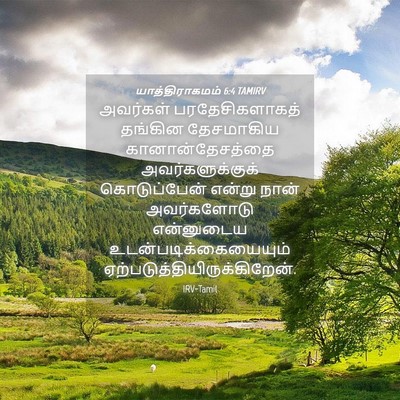 Picture 04 - யாத்திராகமம் 6:4 TAMIRV - அவர்கள் - Bible Verse Picture