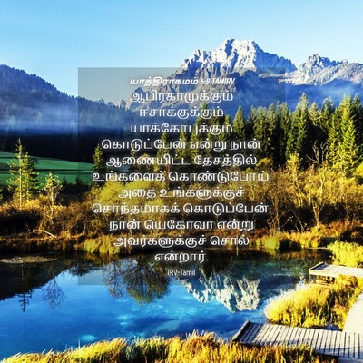 Picture 04 - யாத்திராகமம் 6:8 TAMIRV - ஆபிரகாமுக்கும் - Bible Verse Picture