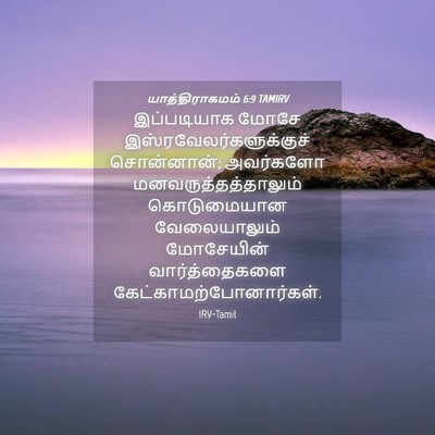 Picture 04 - யாத்திராகமம் 6:9 TAMIRV - இப்படியாக மோசே - Bible Verse Picture