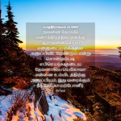 Picture 04 - யாத்திராகமம் 7:16 TAMIRV - அவனை நோக்கி: - Bible Verse Picture