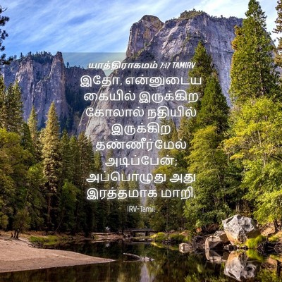 Picture 04 - யாத்திராகமம் 7:17 TAMIRV - இதோ, என்னுடைய - Bible Verse Picture