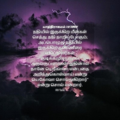 Picture 04 - யாத்திராகமம் 7:18 TAMIRV - நதியில் இருக்கிற - Bible Verse Picture