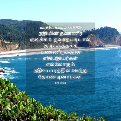 Picture 04 - யாத்திராகமம் 7:24 TAMIRV - நதியின் தண்ணீர் - Bible Verse Picture