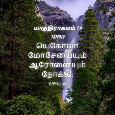 Picture 04 - யாத்திராகமம் 7:8 TAMIRV - யெகோவா மோசேயையும் - Bible Verse Picture