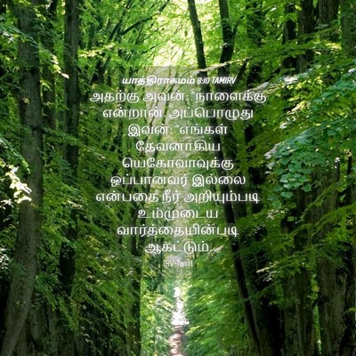 Picture 04 - யாத்திராகமம் 8:10 TAMIRV - அதற்கு அவன்: - Bible Verse Picture