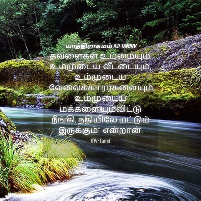 Picture 04 - யாத்திராகமம் 8:11 TAMIRV - தவளைகள் - Bible Verse Picture