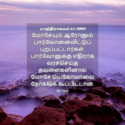 Picture 04 - யாத்திராகமம் 8:12 TAMIRV - மோசேயும் ஆரோனும் - Bible Verse Picture