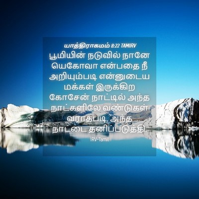 Picture 04 - யாத்திராகமம் 8:22 TAMIRV - பூமியின் நடுவில் - Bible Verse Picture