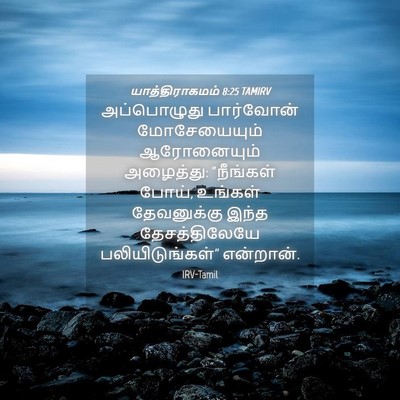 Picture 04 - யாத்திராகமம் 8:25 TAMIRV - அப்பொழுது - Bible Verse Picture