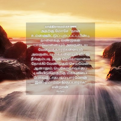 Picture 04 - யாத்திராகமம் 8:29 TAMIRV - அதற்கு மோசே: “நான் - Bible Verse Picture